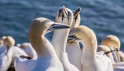 新建上海至杭州高速铁路可行性研究报告获批