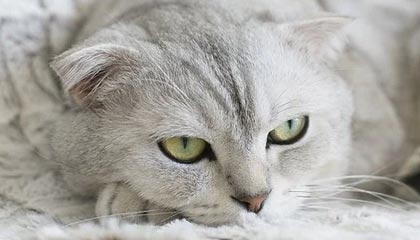 新建上海至杭州高速铁路可行性研究报告获批