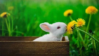 新建上海至杭州高速铁路可行性研究报告获批